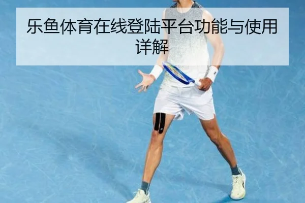乐鱼体育在线登陆平台功能与使用详解
