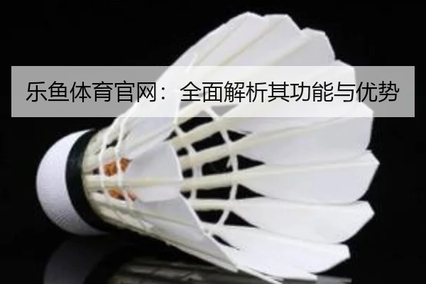 乐鱼体育官网：全面解析其功能与优势