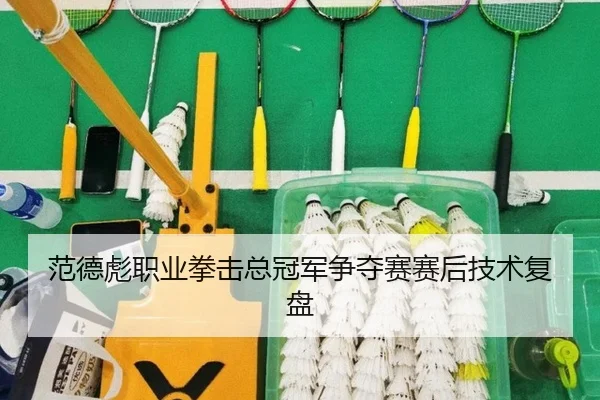 范德彪职业拳击总冠军争夺赛赛后技术复盘