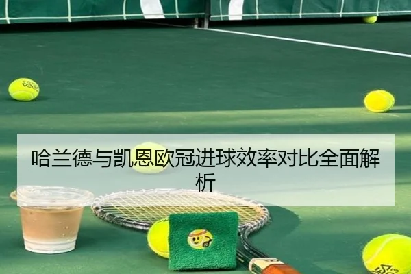 哈兰德与凯恩欧冠进球效率对比全面解析